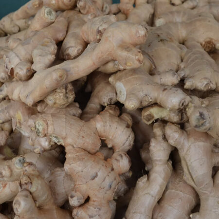 Ginger (Tangawizi)